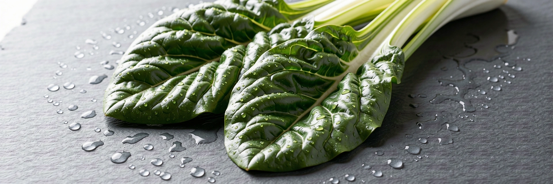 Frische Zutaten für eine bewusste Ernährung